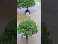 Texas driver gets stuck in floodwater as onlookers scream