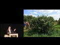 Carbon Farming with Ethan Roland