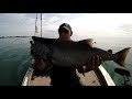 How I catch big staging Salmon, fishing solo on Lake Ontario. Long leaders in shallow water