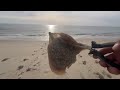 Beach Fishing Sandy Hook New Jersey 6 / 2 / 24