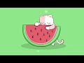 Watermelon Chilling 🍉 - Lofi beats for your life - Cat Lofi - Chill mix