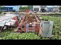 Incredible Project Filling Sand Making House By D2P Bulldozer Pushing sand 5Ton Truck Unloading Sand