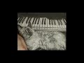 Upside Down Cat Charcoal Drawing Timelapse