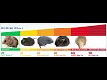 The Mouse Chonk chart