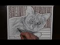 How to Draw a Cat in a Modern Pop Art Style
