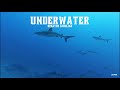 @breathecarolina - Underwater [Official Audio]