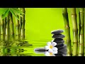 3 HOURS Relaxing Music with Water Sounds Meditation