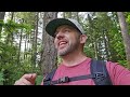Summer Mushroom Foraging- Chanterelles and Lobsters already!?