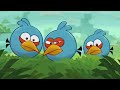 Angry Birds Toons Compilation | Season 1 All Episodes Mashup