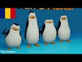 Penguins Türkçe montaj 🇹🇷