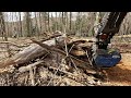 118 - Le petit forestier au travail - Nettoyage foret feuillue!