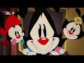 yakko warner making you fall for him (for 9 minutes and 29 seconds) | part 5 (PUN COUNTER ver.)