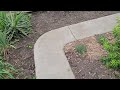 Dry Pour Concrete Sidewalk, One Year Update