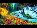 Nature sounds relaxing music sleep 5 minutes