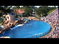 SeaWorld's Dolphin Show (voted 