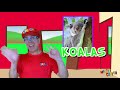 Learning about Koalas with Matty Crayon | Australian Animals for kids | Koalas for kids