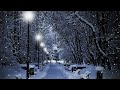 WINTER SNOW FALL | CALMING VIDEO | FALL ASLEEP | SOFT MUSIC