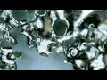 Microscopic Video Of ISonic Ultrasonic Record Cleaner Effect of Tinfoil (Heavy-Duty) 15min