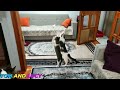 Funniest Animals 😄 New Funny Cats and Dogs Videos 😹🐶New Funny kittens Videos 2024