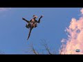 Fallout 4 Flying Deathclaws