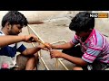 How to make a roller pigeon cage | tamil | Rs.400 only | pigeons | mad on pets