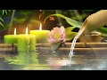 Soothing Relaxation: Relaxing Piano Music, Sleep Music, Water Sounds, Relaxing Music, Meditation