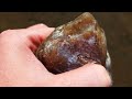 Top Notch Agate, Jasper and Marine Fossil Collecting #rockhounding