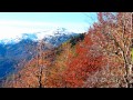 Otoño en el sur de Chile