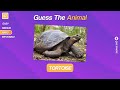 Guess 50 ANIMALS in 3 seconds 🦁🐻🐟(Easy - Impossible)