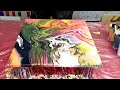 Set super cells as you like them / fluid painting / instructions