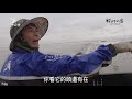 【濕地生態】誤植的代價：種下紅樹林之後 (我們的島 第1088集 2021-01-11)