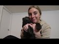 I GOT A PUPPY: Picking Up & Bringing Home My New Black Labrador Retriever & Our First Week Together