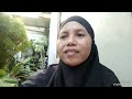 Menanam Sansivera lidah mertua di samping rumah#Tini_Slejogja