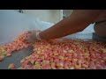 ASMR Making Strawberry Lemonade hard candy (no talking)