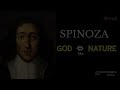 Baruch SPINOZA | Why Is God Indifferent to Our Choices ? | Free Will