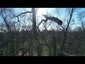 Drone tree exam
