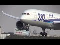 14/01/12 大阪国際空港（伊丹空港） 飛行機の着陸シーン Landing Scene of Various Jet Airliners at Osaka Int'l Airport, RJOO