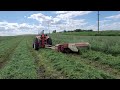 Case 830 Comfort King Diesel cutting hay!