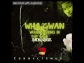 Kwenga Grooves~ Wha Gwan (Wah Gwan Inna Di world)  Official Audio