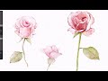 How to Paint Watercolor Roses in Procreate  | Realistic Watercolor Floral Procreate Tutorial