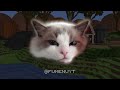 I Coded Your Real Life Pets In Minecraft...