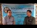 JILID 2 : BUDIDAYA LOBSTER AIR LAUT 100% PAKAN MENGGUNAKAN CACING