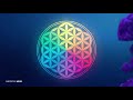 ALL 9 SOLFEGGIO FREQUENCIES HEALING MUSIC | Whole Body Regeneration | 9 MIRACLE TONES