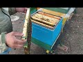 Опасное южное пчеловодство- тотальная гибель пасеки