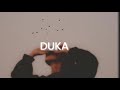 chill duka remix lofi 8D