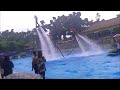 DRAKULA FLYBOARD OWABONG