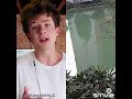 Smule cover-Attention by Charlie Puth