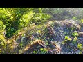 Bubbling Mountain Spring | 10 Hr | Sounds For Sleep Study Focus And Relaxation