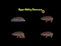 Are Hippos OP?