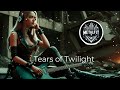 Veil of Tears: Melancholic Metal Instrumental with Stunning Guitar Expressions 😢 🎧